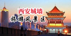 露女生小穴的网站中国陕西-西安城墙旅游风景区